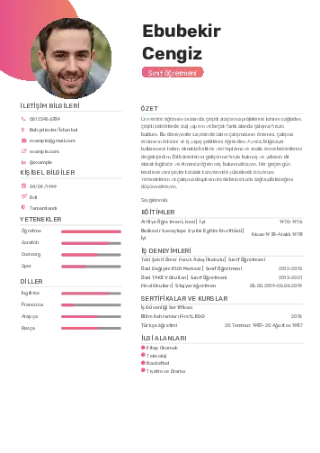 Sınıf Öğretmeni Cv Örnekleri cv indir